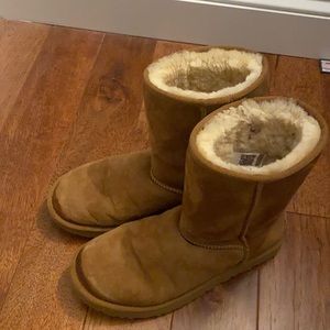 women’s chestnut short uggs